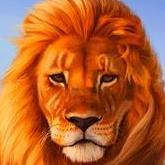 lion2lally